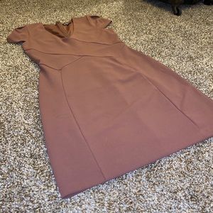 Express Business Professional Burn Brown-Red Dress